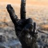 Николаевщина в тройке лидеров по запасам лечебных грязей