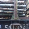 У Раді заявили про намір зберегти мораторій на експорт лісу-кругляку