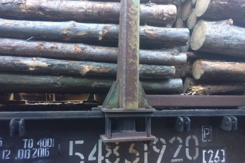 У Раді заявили про намір зберегти мораторій на експорт лісу-кругляку