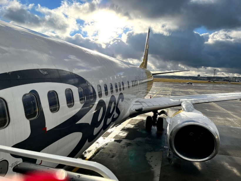 Bees Airline открыла рейсы из Киева во Львов