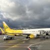 Bees Airline открыла рейсы из Киева во Львов