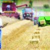 ​Сільське господарство України втратило понад 4 млрд доларів через війну