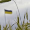 Українські аграрії зібрали перший мільйон тонн зерна нового врожаю