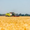 На Дніпропетровщині зібрали перший мільйон тонн зерна, та понад 400 гектарів посівів згоріли від ворожих обстрілів