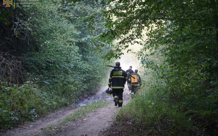 В Україні реформують лісову галузь, – Міндовкілля