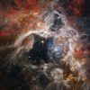 NASA показало уникальную фотографию туманности “Тарантул”