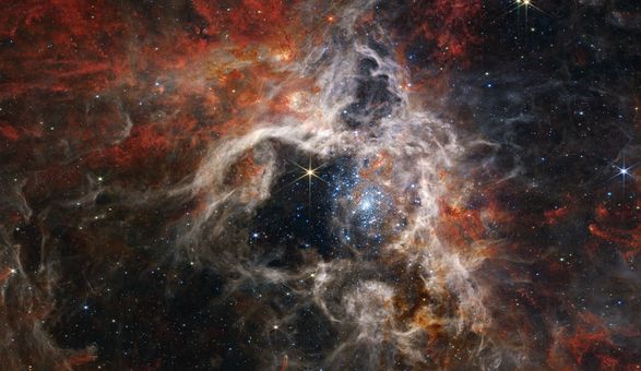 NASA показало уникальную фотографию туманности “Тарантул”