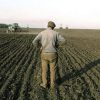 Найдорожчий в Україні пай продали у Львівській області