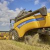 Мінагрополітики розповіло про очікуваний цьогорічний врожай