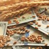 4,8 млрд грн втратив держбюджет України через агротрейдерів, які експортували продукцію сумнівного походження