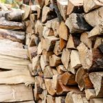 В Україні створено рекордний запас дров, – Держлісагентство