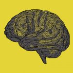 Новая технология: ученые будут использовать сканирование мозга и искусственный интеллект для “расшифровки” мыслей