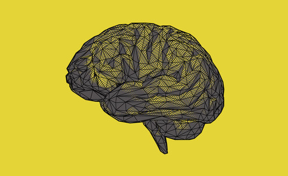Новая технология: ученые будут использовать сканирование мозга и искусственный интеллект для “расшифровки” мыслей