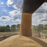Єврокомісія заборонила експорт чотирьох сільськогосподарських продуктів з України до п’яти членів ЄС