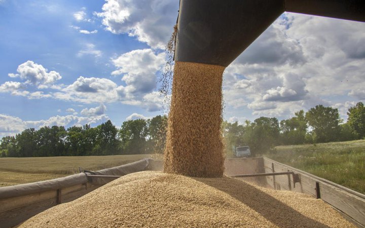 Єврокомісія заборонила експорт чотирьох сільськогосподарських продуктів з України до п’яти членів ЄС