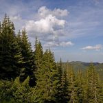 Укрзалізниця запускає додатковий поїзд з Києва до Карпат