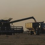 Румунія та Україна працюватимуть над системою ліцензування експорту українського зерна