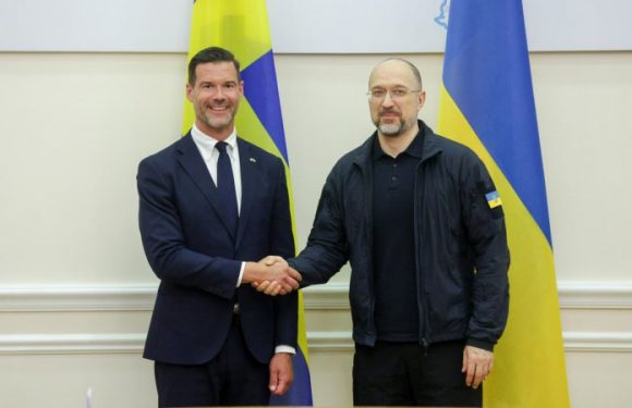 Шмигаль запросив шведський бізнес інвестувати в Україну (фото)