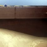 За програмою Grain From Ukraine з України експортували більше 220 тисяч тонн сільгосппродукції