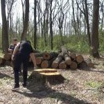 Німеччина виділила Україні $400 тисяч на проведення інвентаризації лісів і створення лісового кадастру