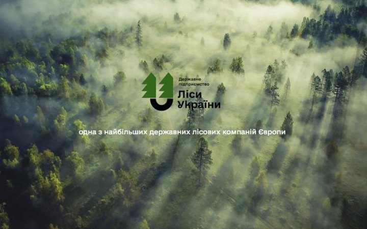 У наглядову раду “Лісів України” увійшли троє незалежних членів та один представник держави