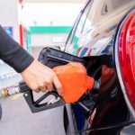 Середньоденний виторг бізнесу зріс у лютому на 10%. Податкова показала, які сектори заробили найбільше