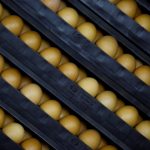 США почали просити допомоги Європи для подолання яєчної кризи, але зіткнулися з проблемою
