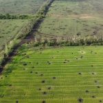 Україна з початку повномасштабної війни втратила 20,5% своїх сільгоспземель