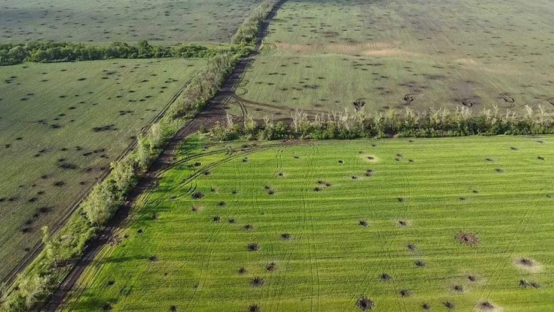 Україна з початку повномасштабної війни втратила 20,5% своїх сільгоспземель