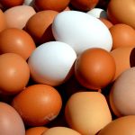Україна збільшила експорт яєць удвічі