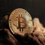 World Network веде переговори з Visa, у Житомирі «криптоконсультант» вкрав 3,7 млн грн: що нового