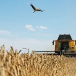 Близько 85% агрокомпаній виплачують зарплату мобілізованим працівникам – дослідження