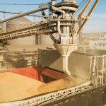 ЄС готується повернути обмеження для української агропродукції. FT дізналася подробиці