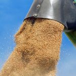 Агропродукція з України: ЄС запроваджує квоти на рівні 7/12 від річних обсягів