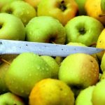 Ціни на яблука в Україні стрімко летять вгору: скільки коштує кілограм зараз