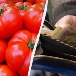 Ціни на помідори в Україні стрімко летять вниз: який прогноз дають фахівці