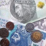 Не лише долари та євро: українці купують польський злотий, фунт стерлінгів і чеську крону — НБУ