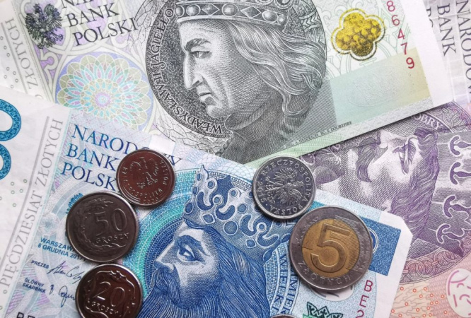 Не лише долари та євро: українці купують польський злотий, фунт стерлінгів і чеську крону — НБУ