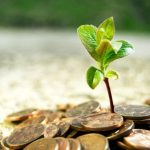 Стартап з України Pleso Therapy залучив $1,2 млн: серед інвесторів Тігіпко та Усик