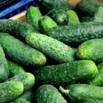 В Україні ціни на огірки стрімко падають: скільки зараз коштує кілограм