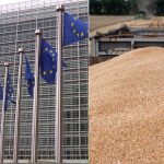 ЄС відновить квоти на українську агропродукцію: ЗМІ розкрили, як голосували країни