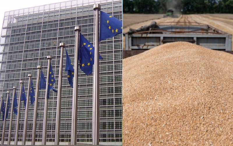 ЄС відновить квоти на українську агропродукцію: ЗМІ розкрили, як голосували країни