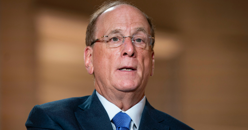 Голова BlackRock несподівано підтримав ідею республіканців про «MAGA-рахунки» для новонароджених