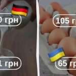 Блогери порівняли ціни на продукти в Україні та Німеччині: де дешевше (відео)