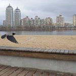 Де в Києві найдешевші “однушки”: названо райони столиці з найнижчими цінами на квартири