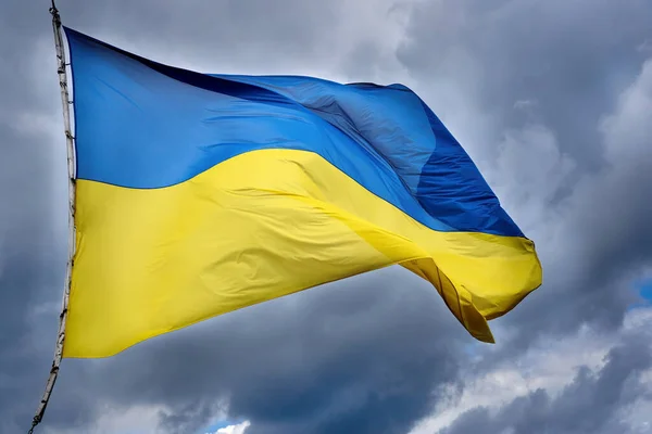 Головне за середу: прогноз ОЕСР по Україні, банки «недоплатили» податки