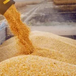 Україна експортувала вже майже 40 млн тонн зерна