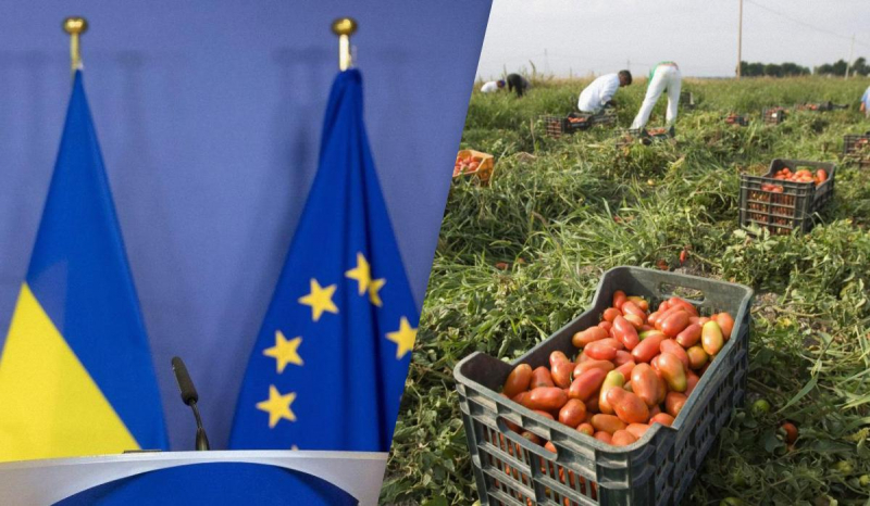 Україна та ЄС обговорюють нові умови експорту сільськогосподарської продукції, – Reuters