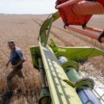 В Україні змінилися ціни на землю: скільки зараз коштує гектар