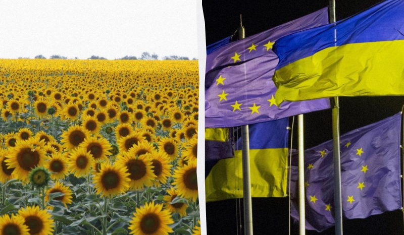 Євросоюз скасував обмеження на імпорт важливих сільгосптоварів з України